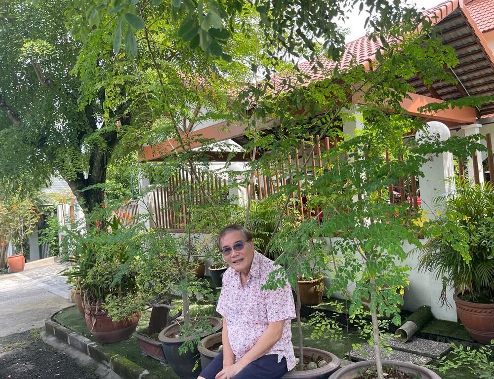 DrSim_MoringaTrees DrSim_MoringaTrees